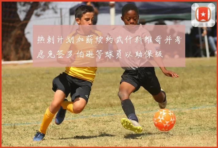 热刺计划加薪续约武什科维奇并考虑免签罗伯逊等球员以助保级
