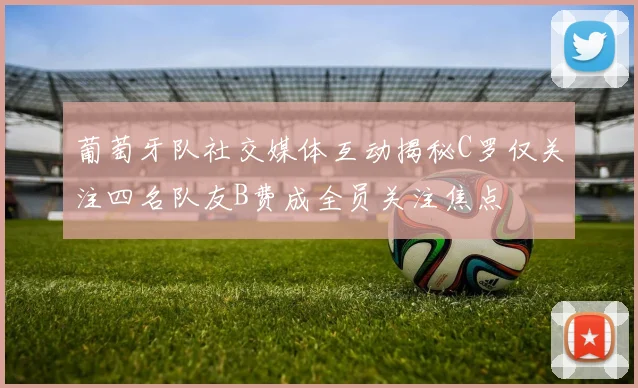 葡萄牙队社交媒体互动揭秘C罗仅关注四名队友B费成全员关注焦点